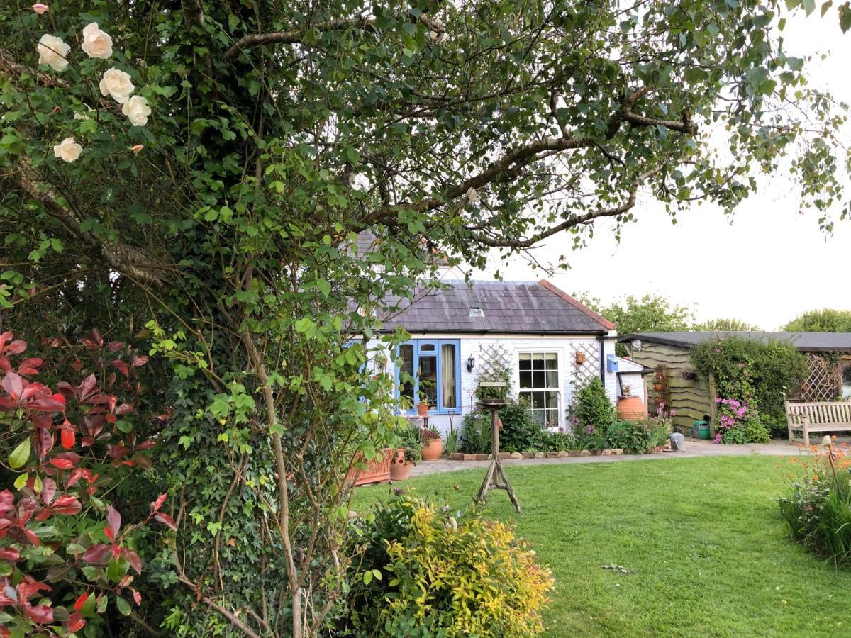Cosy Cottage Ground Floor Bedroom Ensuite With Private Entrance Chichester Eksteriør bilde